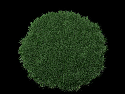 Realistic Lawn Grass Patch 3D Модель