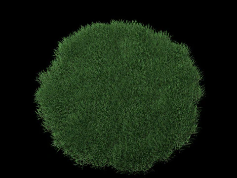 Realistic Lawn Grass Patch 3D Model