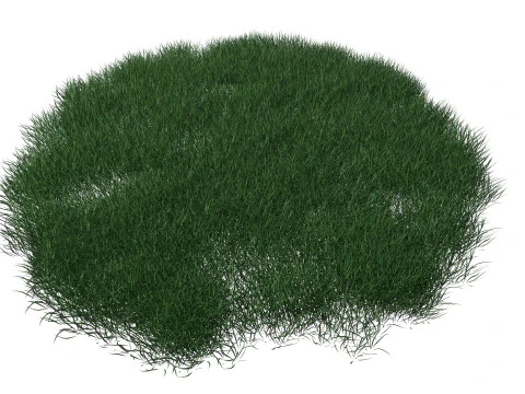 Realistic Lawn Grass Patch 3D Model