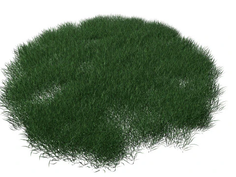 Realistic Lawn Grass Patch 3D Model