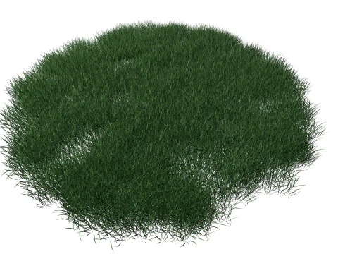 Realistic Lawn Grass Patch 3D Model