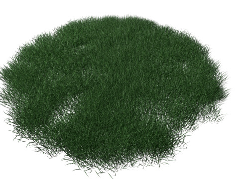 Realistic Lawn Grass Patch 3D Модель