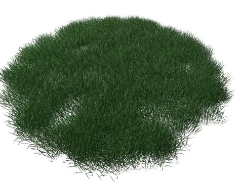 Realistic Lawn Grass Patch 3D Model