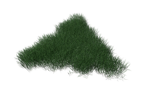 3D Lawn Grass for Garden and Park 3D 모델