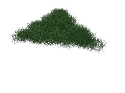3D Lawn Grass for Garden and Park 3D Model