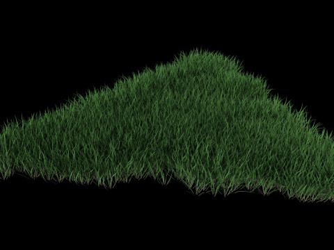 3D Lawn Grass for Garden and Park 3D Model