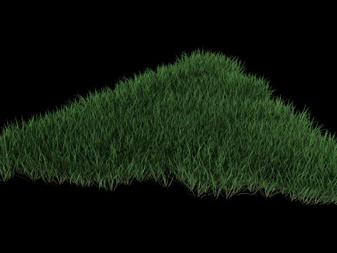 3D Lawn Grass for Garden and Park 3D Model