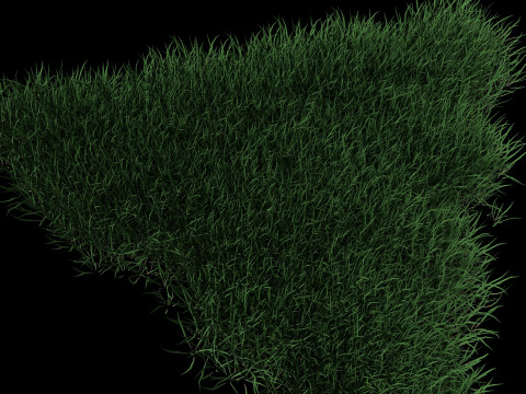 3D Lawn Grass for Garden and Park 3D Model