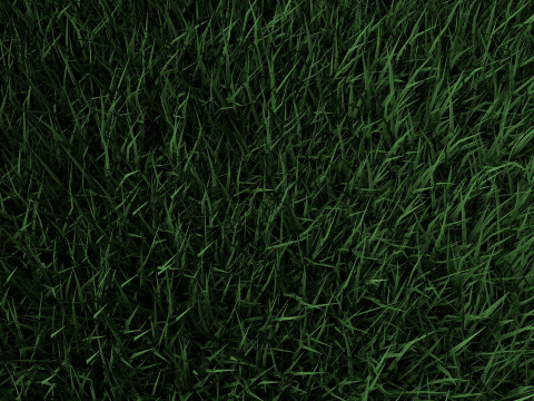 3D Lawn Grass for Garden and Park 3D Model