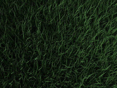 3D Lawn Grass for Garden and Park 3D Model