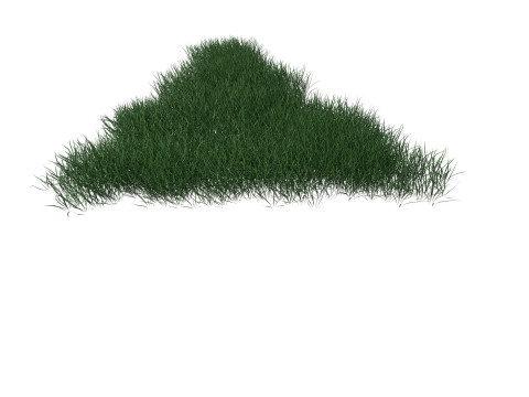 3D Lawn Grass for Garden and Park 3D Model