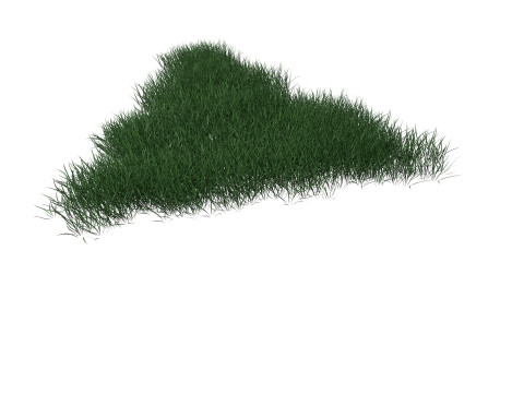 3D Lawn Grass for Garden and Park 3D Model