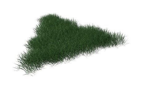3D Lawn Grass for Garden and Park 3D Model