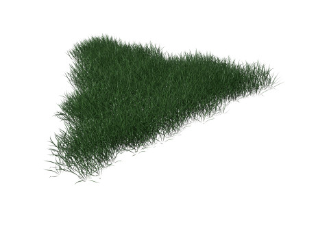 3D Lawn Grass for Garden and Park 3D Model