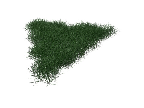 3D Lawn Grass for Garden and Park 3D Model