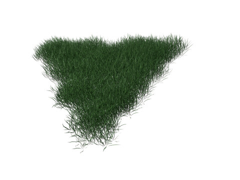 3D Lawn Grass for Garden and Park 3D Model