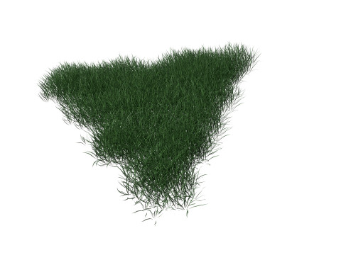 3D Lawn Grass for Garden and Park 3D Model