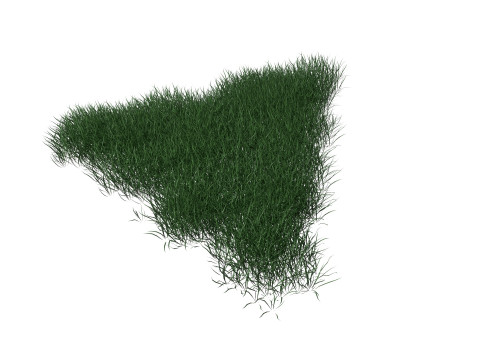 3D Lawn Grass for Garden and Park 3D Model