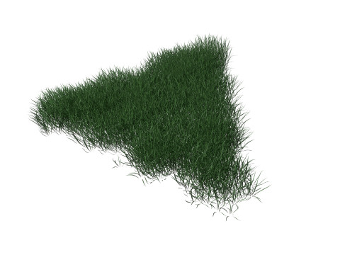 3D Lawn Grass for Garden and Park 3D Model