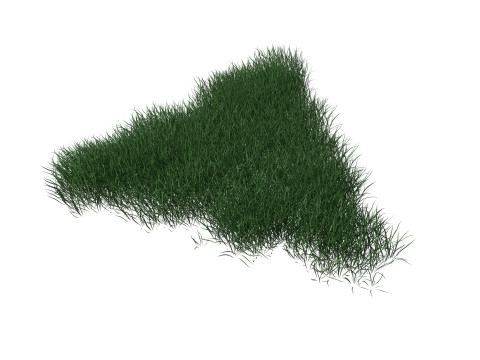 3D Lawn Grass for Garden and Park 3D Model