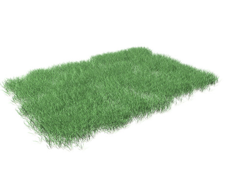 Lawn Grass Model for Exteriors 3D 모델