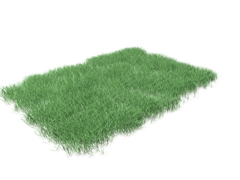 Lawn Grass Model for Exteriors 3D Модель
