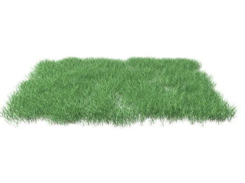 Lawn Grass Model for Exteriors 3D Model
