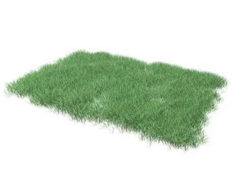 Lawn Grass Model for Exteriors 3D Model