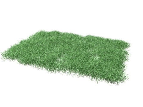 Lawn Grass Model for Exteriors 3D Модель