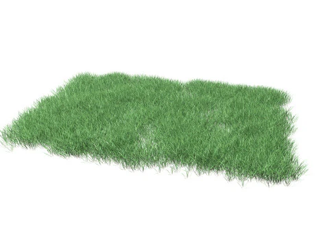 Lawn Grass Model for Exteriors 3D Model