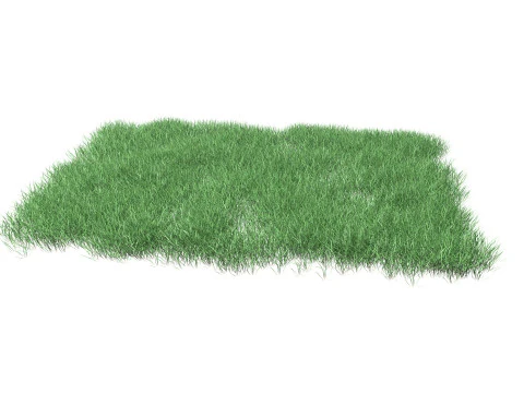 Lawn Grass Model for Exteriors 3D Model