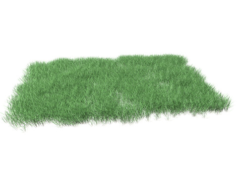 Lawn Grass Model for Exteriors 3D Модель