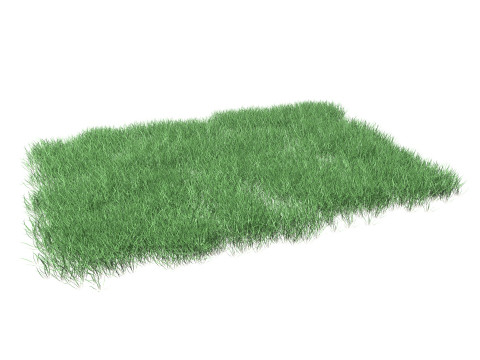 Lawn Grass Model for Exteriors 3D Модель