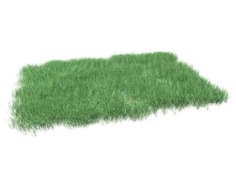 Lawn Grass Model for Exteriors 3D Model