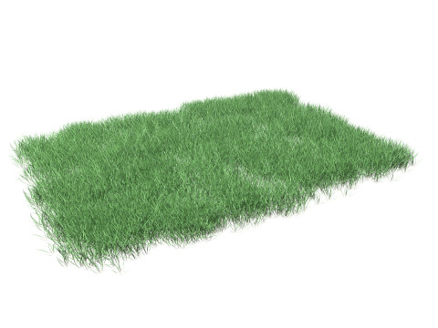 Lawn Grass Model for Exteriors 3D Модель
