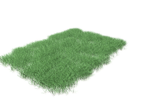 Lawn Grass Model for Exteriors 3D Модель