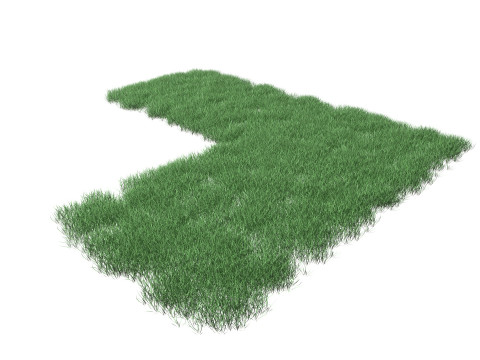 Realistic Lawn Grass Patch 3D 모델