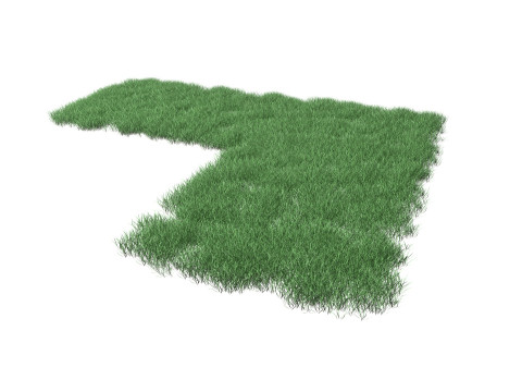 Realistic Lawn Grass Patch 3D Model