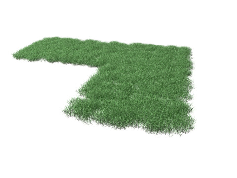 Realistic Lawn Grass Patch 3D Model