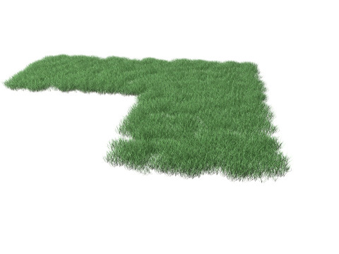 Realistic Lawn Grass Patch 3D Model