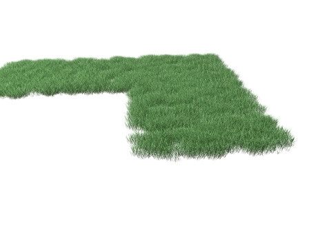 Realistic Lawn Grass Patch 3D Model