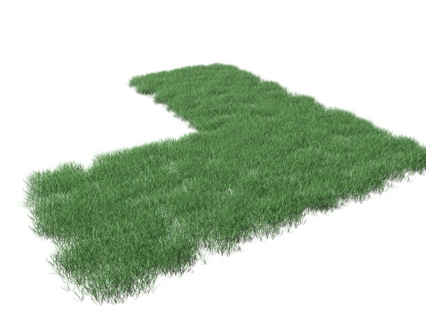 Realistic Lawn Grass Patch 3D Model