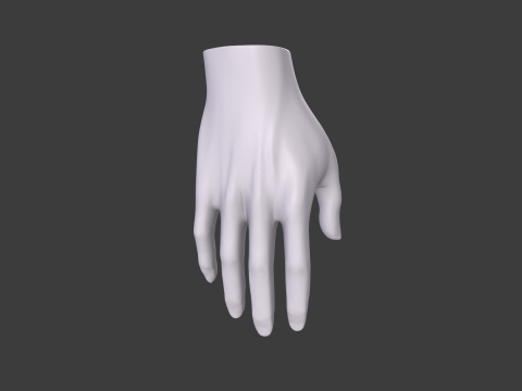 3D Hand Model Collection for Character Design 3D 模型