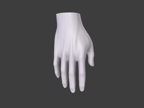 3D Hand Model Collection for Character Design 3D Model