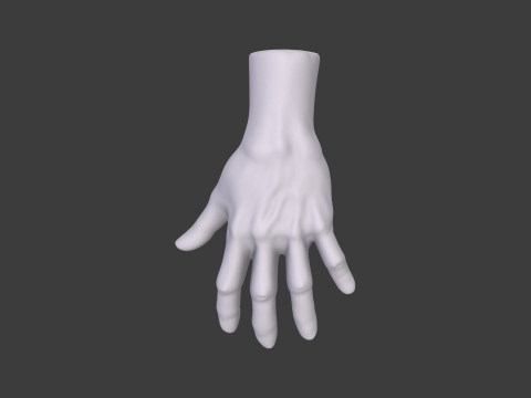 3D Hand Model Collection for Character Design 3D 模型