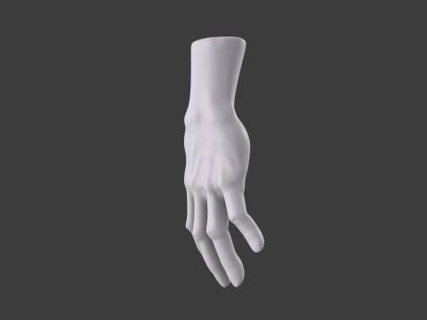 3D Hand Model Collection for Character Design 3D 模型