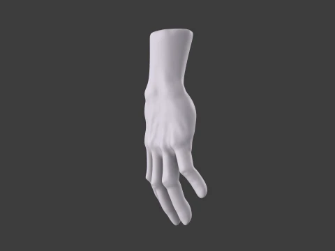 3D Hand Model Collection for Character Design 3D Model