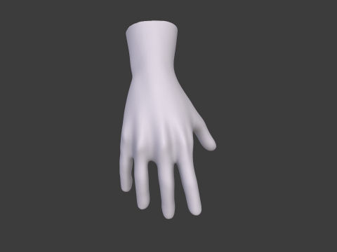 3D Hand Model Collection for Character Design 3D 模型