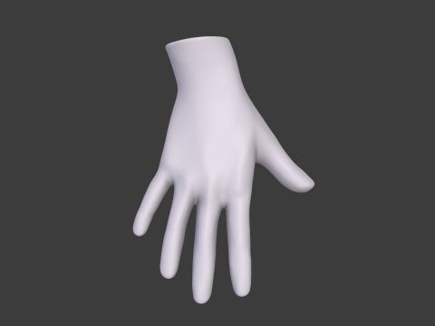 3D Hand Model Collection for Character Design 3D 模型