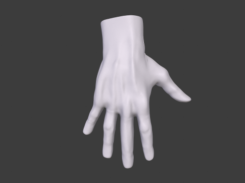 3D Hand Model Collection for Character Design 3D 模型